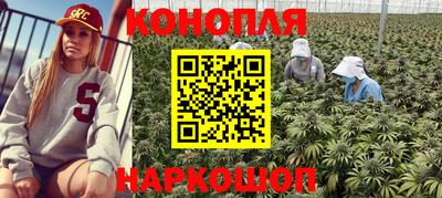 бошки Кингисепп