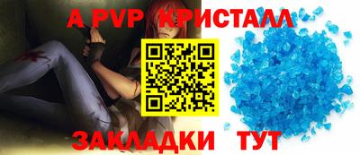 бошки Кингисепп