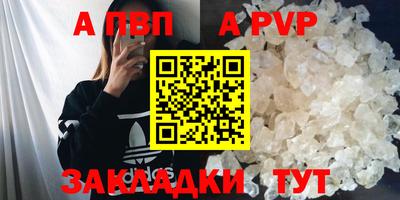 бошки Кингисепп