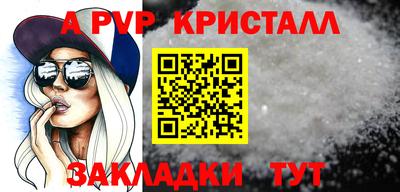 бошки Кингисепп