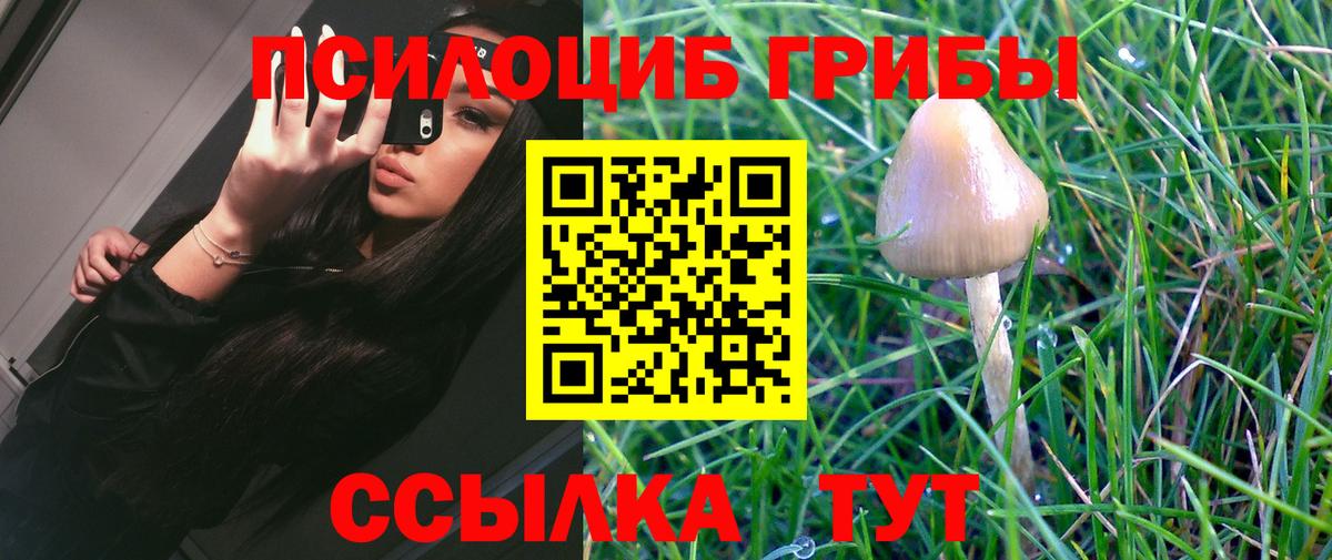 Псилоцибиновые грибы MAGIC MUSHROOMS Кузнецк