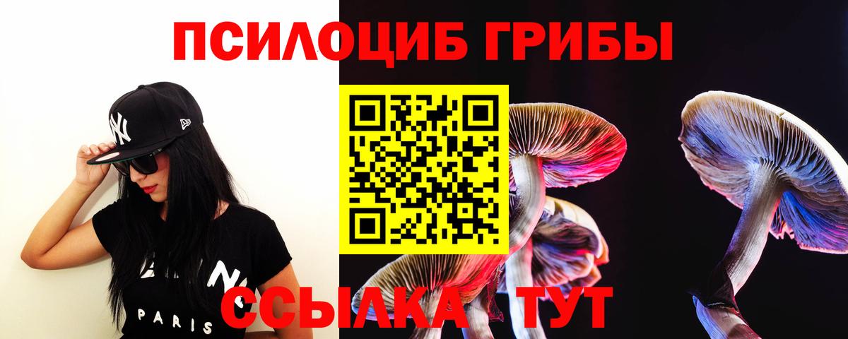 ГАШ Кузнецк